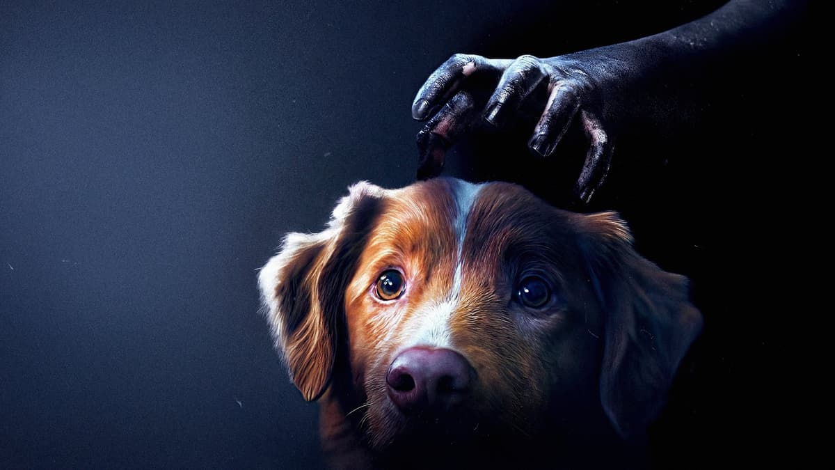 image is not available